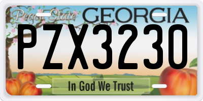 GA license plate PZX3230