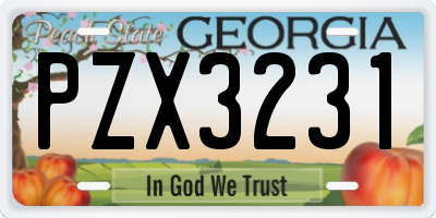 GA license plate PZX3231