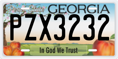 GA license plate PZX3232