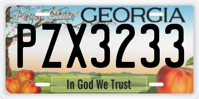 GA license plate PZX3233