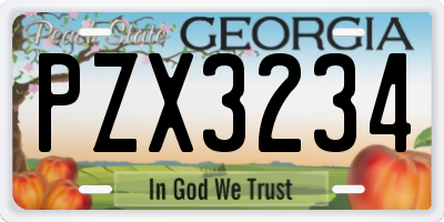 GA license plate PZX3234