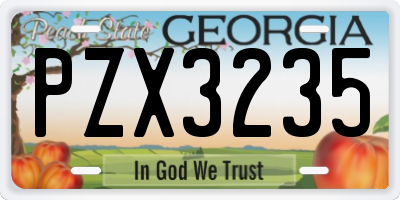 GA license plate PZX3235