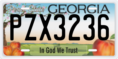 GA license plate PZX3236