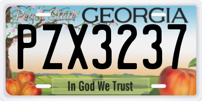 GA license plate PZX3237