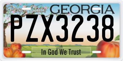 GA license plate PZX3238