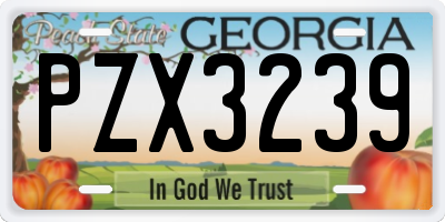 GA license plate PZX3239