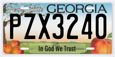 GA license plate PZX3240