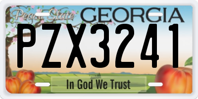 GA license plate PZX3241