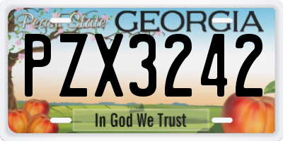 GA license plate PZX3242