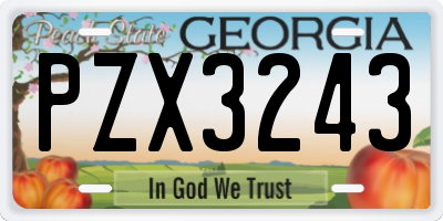 GA license plate PZX3243