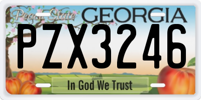 GA license plate PZX3246