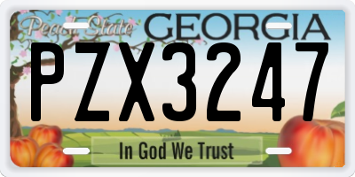 GA license plate PZX3247