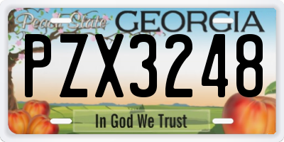 GA license plate PZX3248