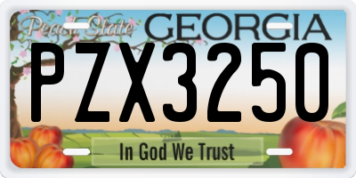 GA license plate PZX3250