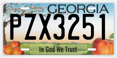 GA license plate PZX3251