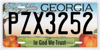 GA license plate PZX3252