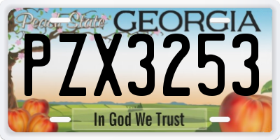 GA license plate PZX3253