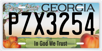 GA license plate PZX3254