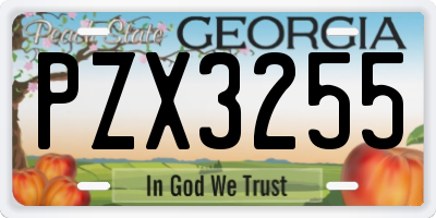 GA license plate PZX3255