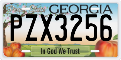 GA license plate PZX3256