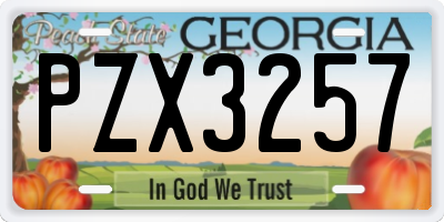 GA license plate PZX3257