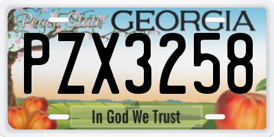 GA license plate PZX3258