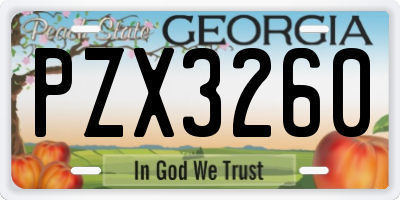 GA license plate PZX3260