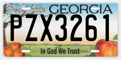 GA license plate PZX3261