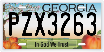 GA license plate PZX3263