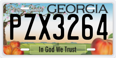 GA license plate PZX3264