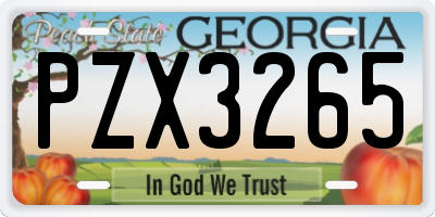 GA license plate PZX3265