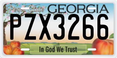 GA license plate PZX3266