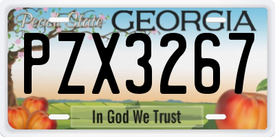 GA license plate PZX3267