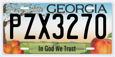 GA license plate PZX3270