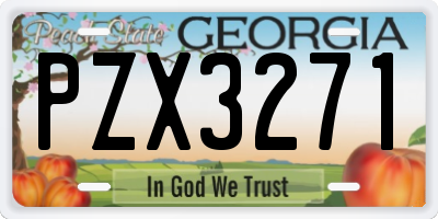 GA license plate PZX3271