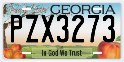 GA license plate PZX3273