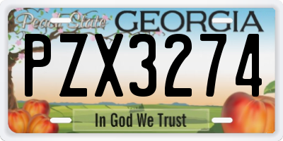 GA license plate PZX3274