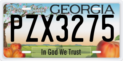 GA license plate PZX3275
