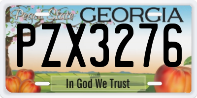 GA license plate PZX3276