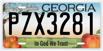 GA license plate PZX3281