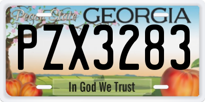 GA license plate PZX3283