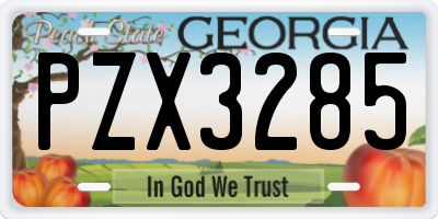 GA license plate PZX3285