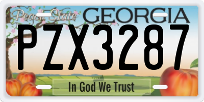 GA license plate PZX3287