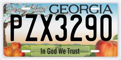 GA license plate PZX3290