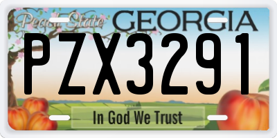 GA license plate PZX3291