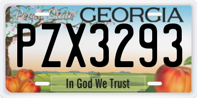 GA license plate PZX3293