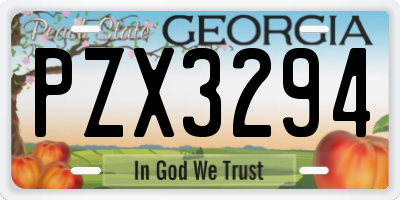 GA license plate PZX3294