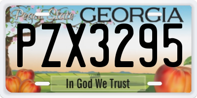 GA license plate PZX3295