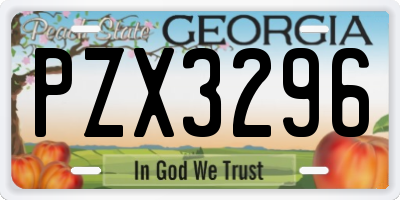 GA license plate PZX3296