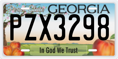 GA license plate PZX3298